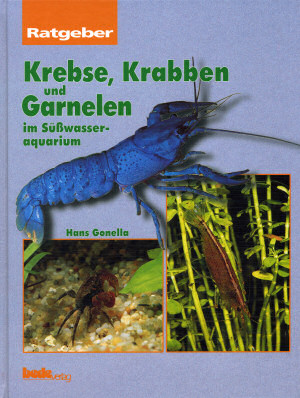 Krebse-Krabben-Garnelen-vorne